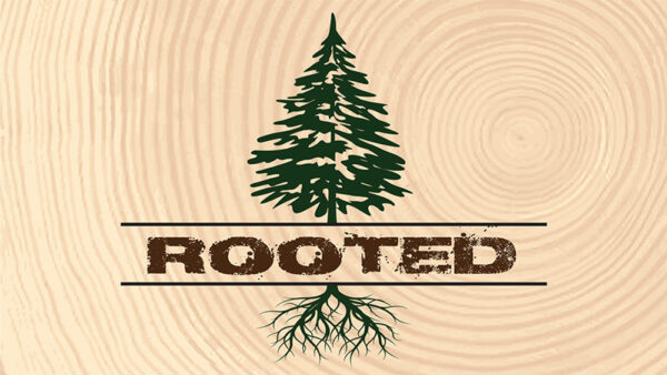Rooted Pt 3 Image
