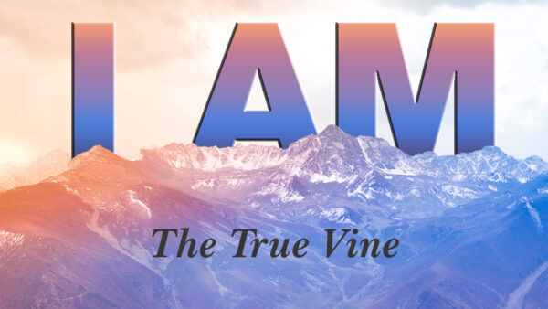 I AM - The True Vine Image