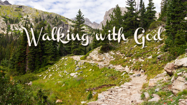 Walking with God - Zacchaeus Image